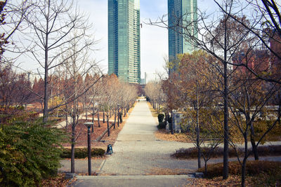 Footpath amidst trees and buildings against sky
