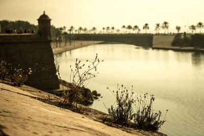 View of bridge over river at sunset