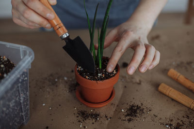 Midsection of gardener holding plants at home