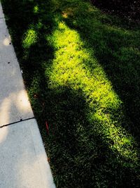 High angle view of road shadow on grass