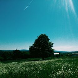 Scenic view of field against blue sky