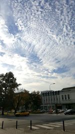 Trees against sky