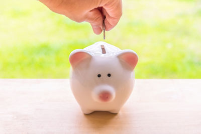 Cropped hand of man putting coin in piggy bank on table