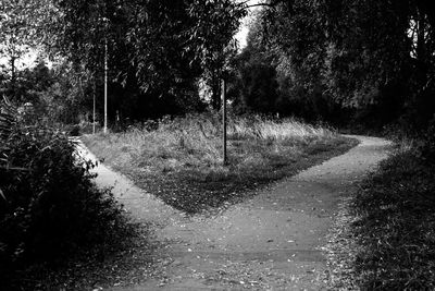 Empty road along trees