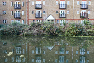 Reflection of buildings in water