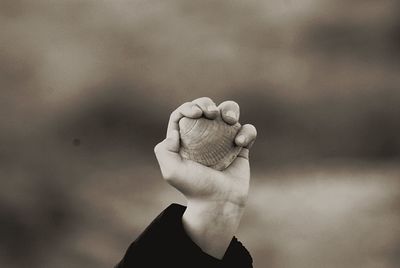 Cropped hand of child holding shell