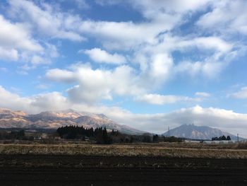 Scenic view of field against sky