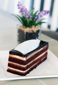 Close-up of chocolate cake on table