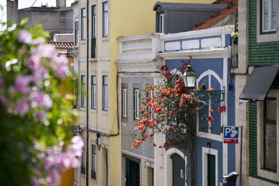 architecture