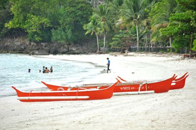 People on beach by trees