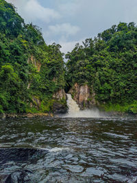 Scenic view of river flowing in forest against sky