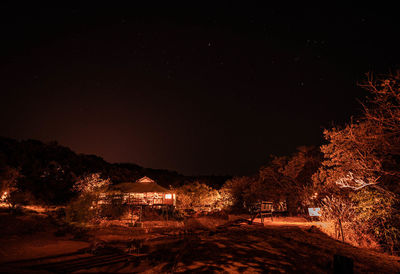 Illuminated trees and buildings against sky at night