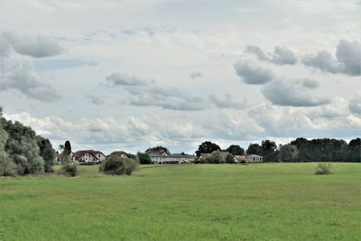 Scenic view of field against sky