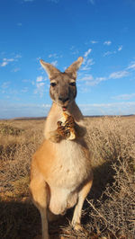 Giraffe on field against sky