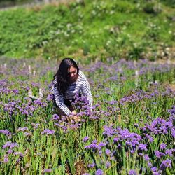 Rear view of woman standing amidst purple flowering plants on field