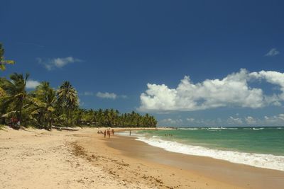 Scenic view of beach against blue sky