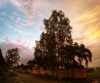 Trees on field against sky at sunset