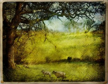 Scenic view of grassy landscape