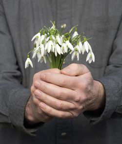 Midsection of person holding white flowers