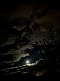 Low angle view of silhouette trees against sky at night