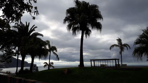 Silhouette palm trees on beach against sky