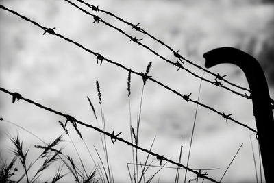 Low angle view of silhouette barbed wire against sky