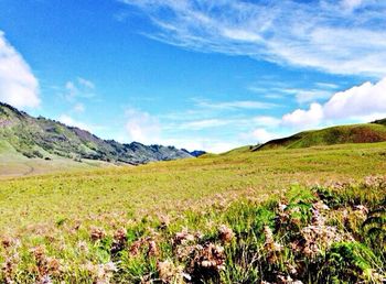 Scenic view of landscape against cloudy sky