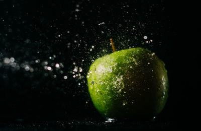 Close-up of wet apple against black background