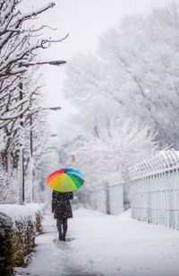 Rear view of woman walking on snow covered trees