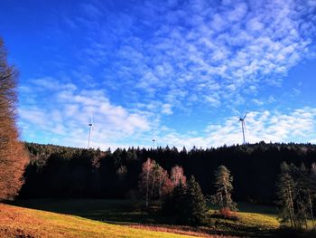 Trees on field against sky