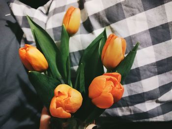 Close-up of orange flowers