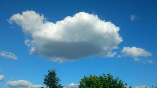 Low angle view of trees against cloudy sky