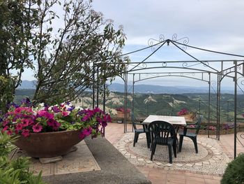 Potted plants on table by chairs against sky