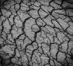 High angle view of street