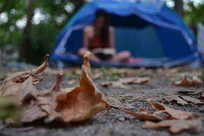 Low section of man on autumn leaves