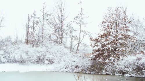 Scenic view of snow covered landscape