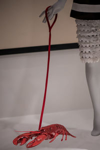 Low section of woman with red wine