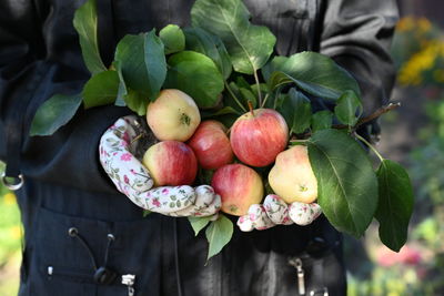 Midsection of man holding fruit