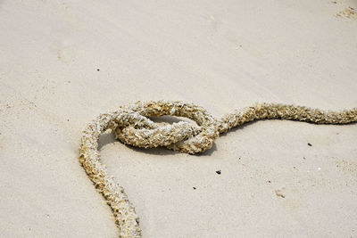 High angle view of messy rope on sand