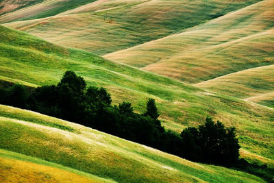 High angle view of green landscape