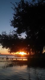 Sun shining through trees