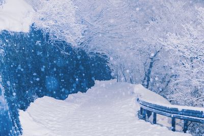 View of snow covered landscape