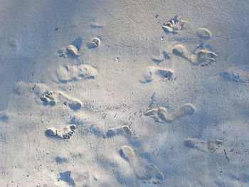 Directly above shot of footprints on sand at beach