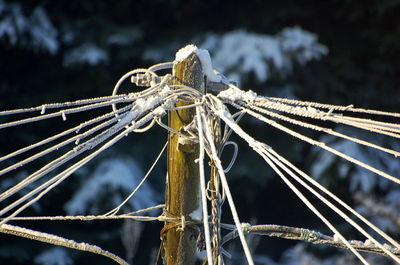 Close-up of strings attached on pole during winter