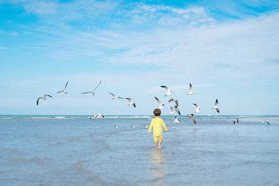 Rear view of boy at beach with seagulls flying over sea against sky