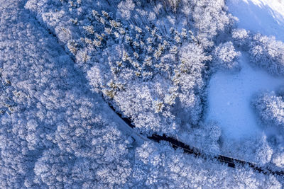 Aerial winter landscape. road leading through snowcapped winter forest. aerial view. 