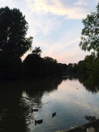 Ducks swimming in lake against sky during sunset