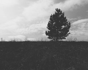 Trees on field against cloudy sky