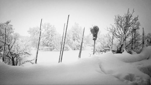 Scenic view of snow covered landscape