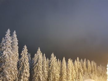 High angle view of snow on field against sky